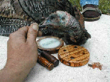 4B's Florida Turkey.jpg (43051 bytes)