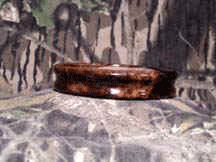 walnut1.jpg (29675 bytes)